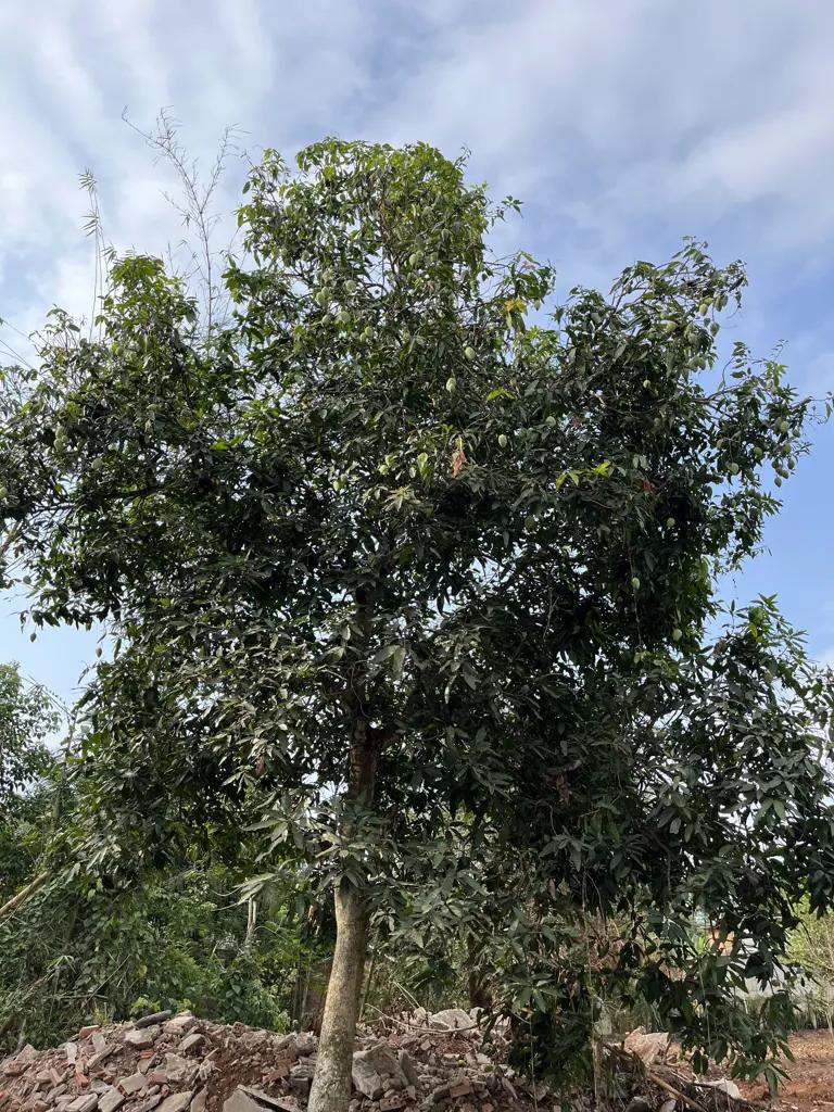 Main-Bán đất tặng nhà tại Thống Nhất gần Sân Bay Long Thành - cần tiền gấp nên ai thiện chí em sẽ bớt ạ-3