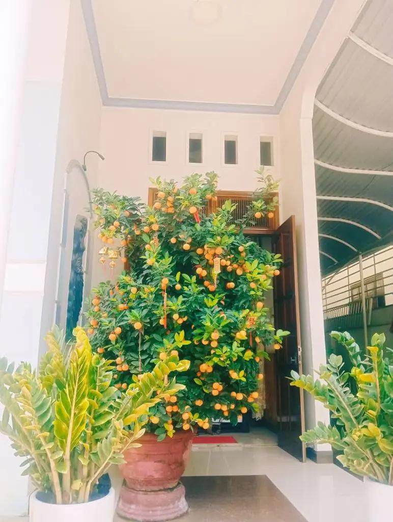 Main-Bán nhà Trường Chinh TP. Kon Tum DT  214,9m2, MT rộng 10m nhỉnh 8 tỷ-2