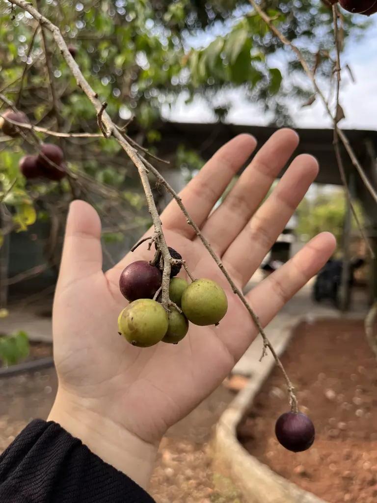 Kẹt Tiền Quá Em Cần Bán Gấp Miếng Đất Sát Cạnh Sân Bay Long Thành -  Tiềm Năng Tăng Giá Cực Tốt
