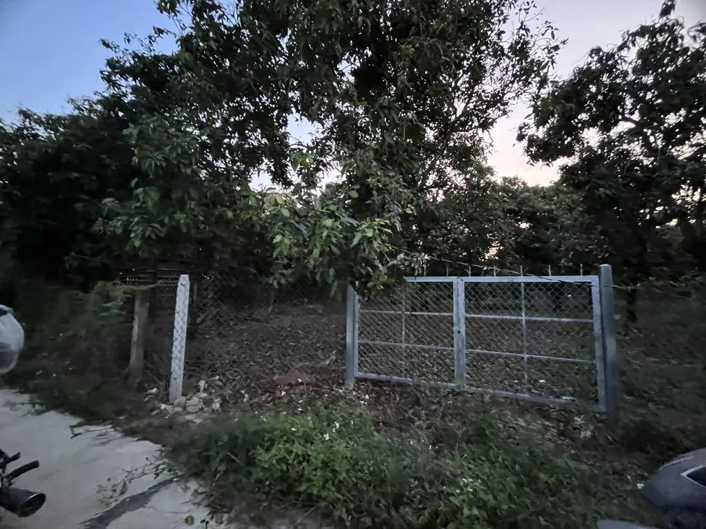 Main-🌳 BÁN VƯỜN XOÀI ĐẸP NHƯ MƠ – VIEW HỒ TRỊ AN CỰC PHẨM 🌊-5