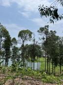 Thumb-BÁN LÔ ĐẤT VIEW HỒ – VIEW ĐỨC MẸ NÚI CÚI – VIÊN NGỌC ẨN MÌNH TẠI ĐỊNH QUÁN, ĐỒNG NAI GIÁ 1 TỶ/1000M2-1