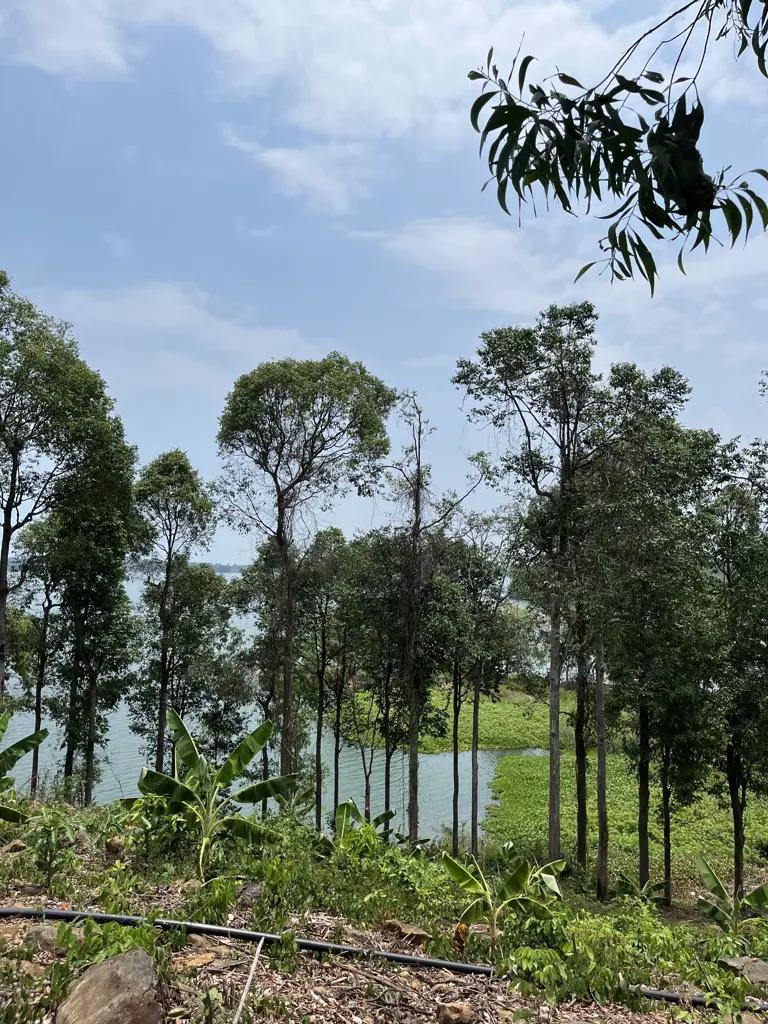 BÁN LÔ ĐẤT VIEW HỒ – VIEW ĐỨC MẸ NÚI CÚI – VIÊN NGỌC ẨN MÌNH TẠI ĐỊNH QUÁN, ĐỒNG NAI GIÁ 1 TỶ/1000M2
