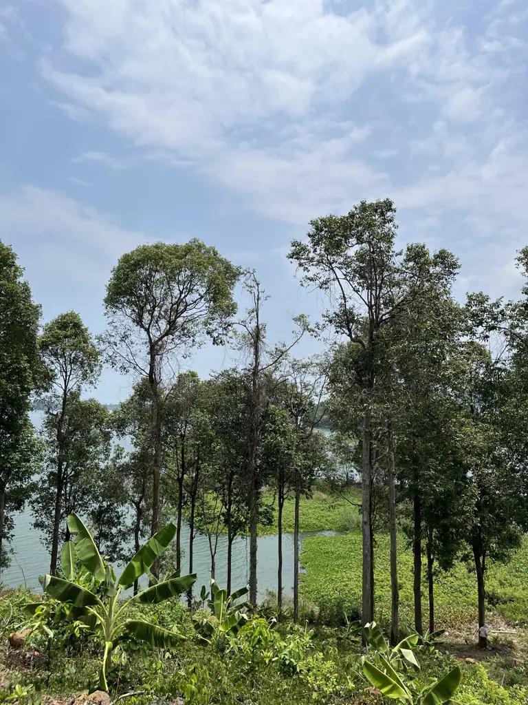 Main-BÁN LÔ ĐẤT VIEW HỒ – VIEW ĐỨC MẸ NÚI CÚI – VIÊN NGỌC ẨN MÌNH TẠI ĐỊNH QUÁN, ĐỒNG NAI GIÁ 1 TỶ/1000M2-1