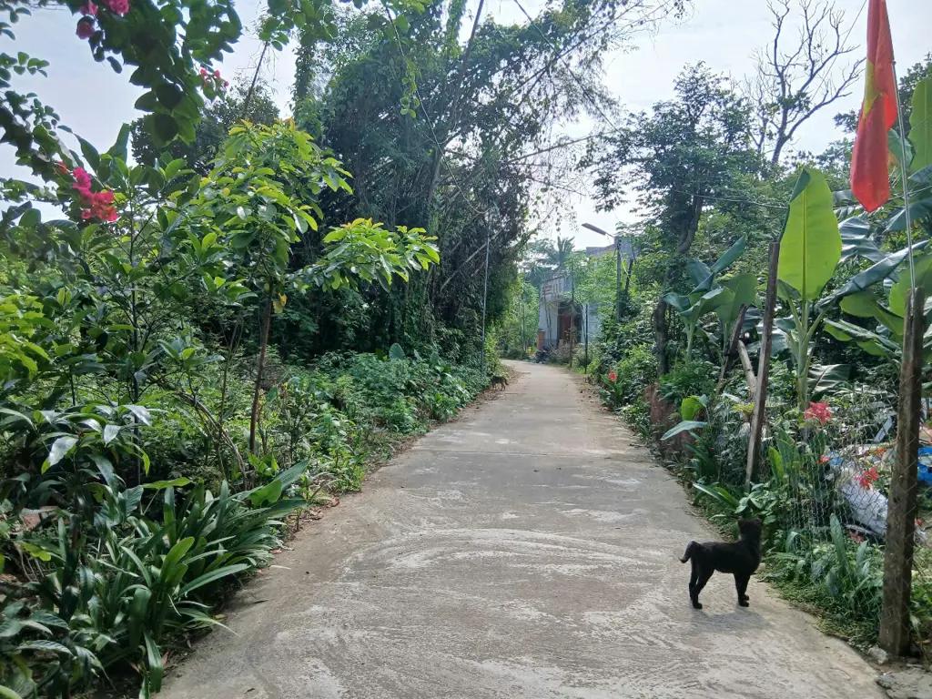 Main-BÁN LÔ ĐẤT ĐẸP TẠI HÀ TÂY1 – XÃ ĐIỆN HÒA – ĐIỆN BÀN-1