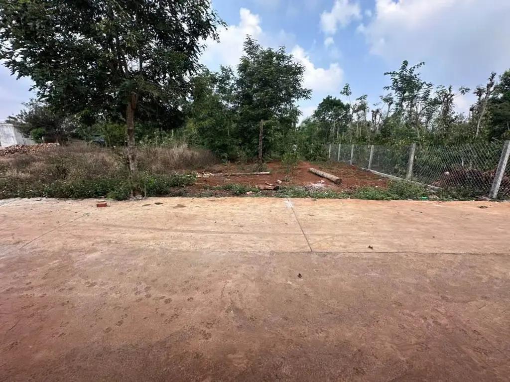 Main-Lô Đất Rẻ Nhất EaKmat - Hoà Đông, huyện Krông Pắk, Đắk Lắk-2