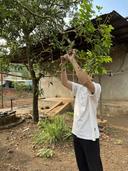 Thumb-Bán gấp lô đất tặng sẵn vườn trái cây tại La Ngà-3