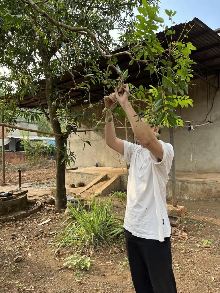 Main-Bán gấp lô đất tặng sẵn vườn trái cây tại La Ngà-2