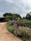 Thumb-Em cần bán gấp lô đất tại Định Quán để làm ăn giá 375tr/1000m2-5