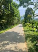 Thumb-🌺🌺🌺 Đất phù hợp làm nhà vườn thuộc mặt tiền đường nhựa DT 614 việt an hiệp đức.-2