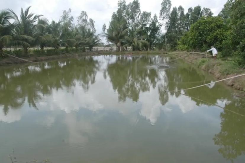 Chính chủ bán giá ngợp lô đất vườn có ao nhỏ giá 585tr/1000m2 tại Định Quán