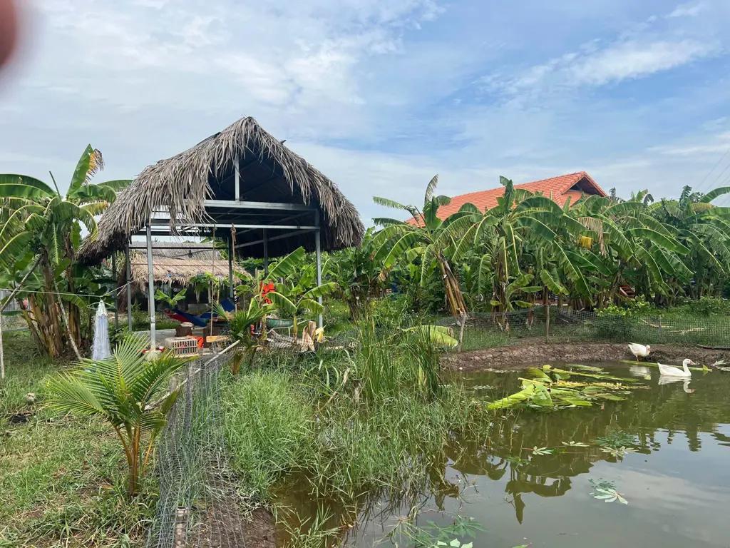 Main-Cần Bán Nhanh , Căn Nhà Vườn Nghỉ Dưỡng , Ngay Mặt Sông Lớn-2