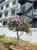 Thumb-Bán homestay 4 tầng đường Nguyễn Hữu Trí Cồn Khương, P. Cái Khế, Q. Ninh Kiều, Tp Cần Thơ-5