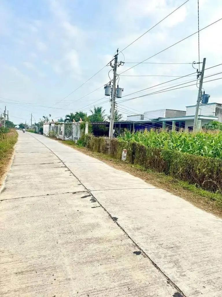Main-Cần Bán 1,5 Sào Sào Có 300m Thổ Cư Hàm Chính Lô 2 Đường Bê Tông Lớn-1