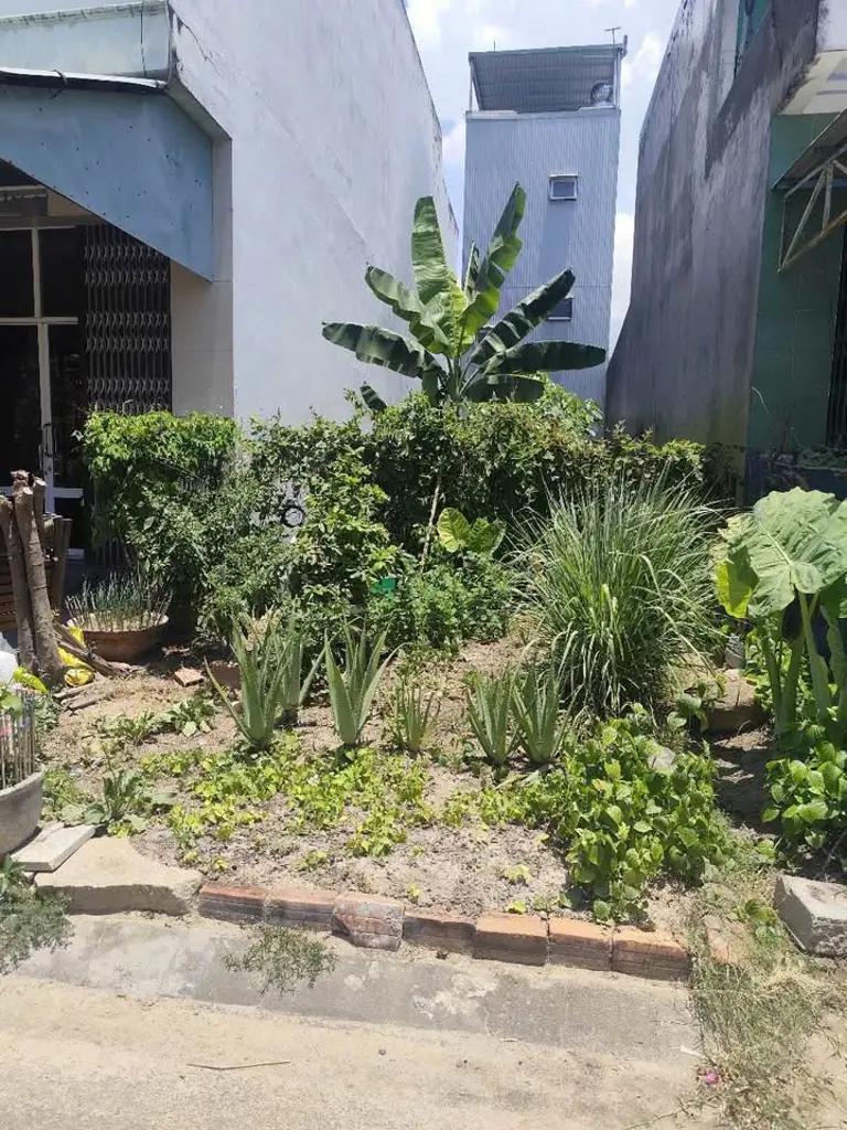 Main-Bán lô đất mặt tiền Mai Chí Thọ rộng 20m, Phường Trần Quang Diệu, Quy Nhơn-2