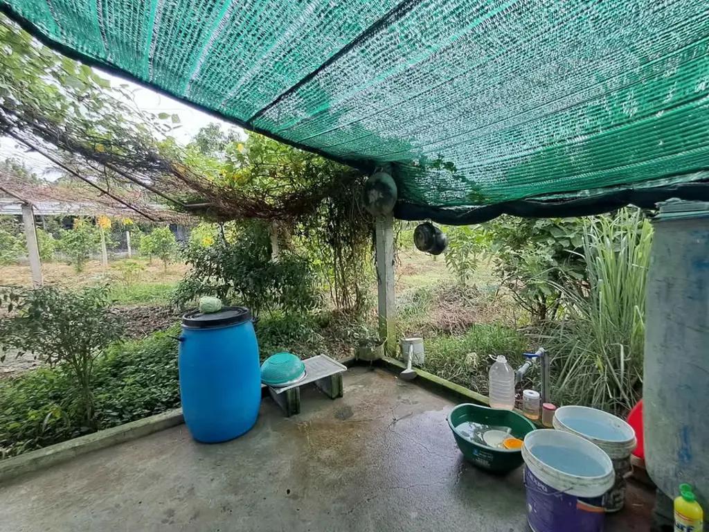 Main-BÁN ĐẤT LÀM NHÀ VƯỜN – ẤP NGÃI LỢI B, PHƯỜNG KHÁNH HẬU-1