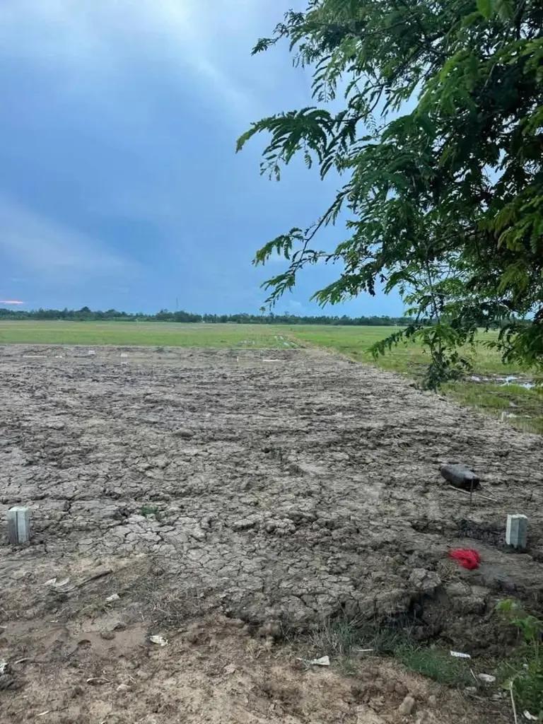Main-Nền mặt tiền lộ ô tô đường kênh 77, ấp Chông Nô, xã An Ninh, huyện Châu Thành, tỉnh Sóc Trăng-1