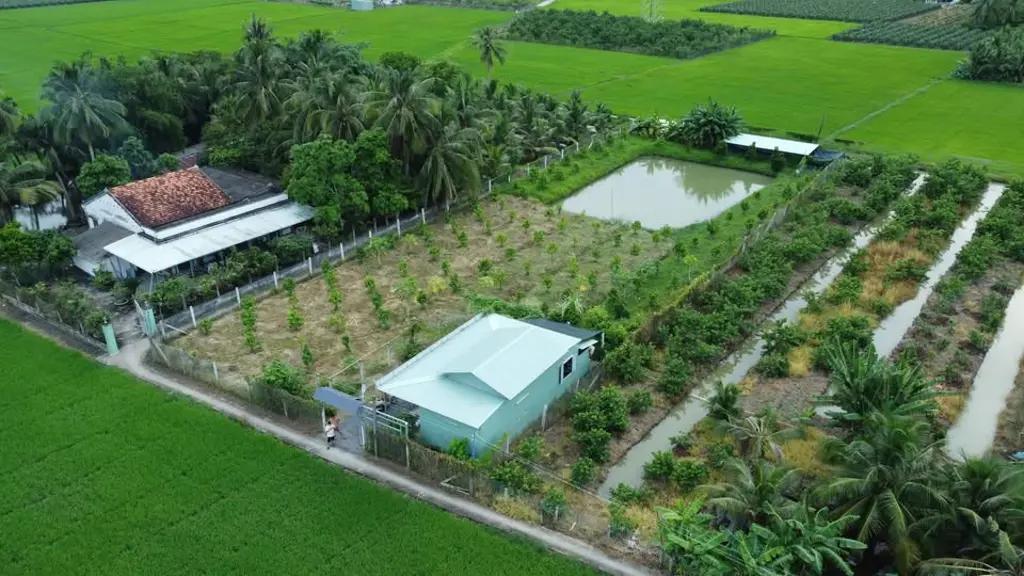 Main-BÁN ĐẤT LÀM NHÀ VƯỜN – ẤP NGÃI LỢI B, PHƯỜNG KHÁNH HẬU-0