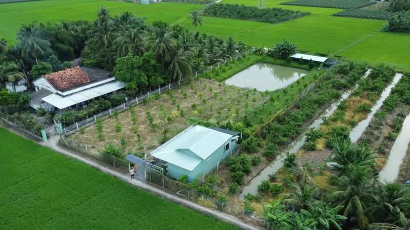 BÁN ĐẤT LÀM NHÀ VƯỜN – ẤP NGÃI LỢI B, PHƯỜNG KHÁNH HẬU