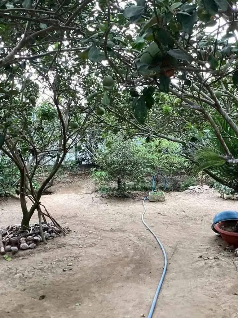 Main-BÁN NHÀ VÀ ĐẤT MẶT TIỀN QL57 AN KHÁNH, CHÂU THÀNH, BẾN TRE-1