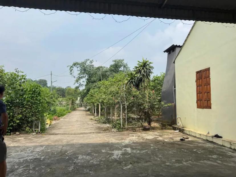 Bán lô đất nhà vườn biệt thự Núi Voi, Cao Ngạn