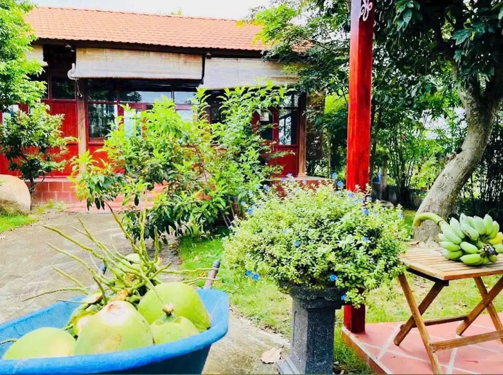 Main-BÁN NHÀ VƯỜN THÔN 5 – HÀM LIÊM, HÀM THUẬN BẮC, BÌNH THUẬN-6