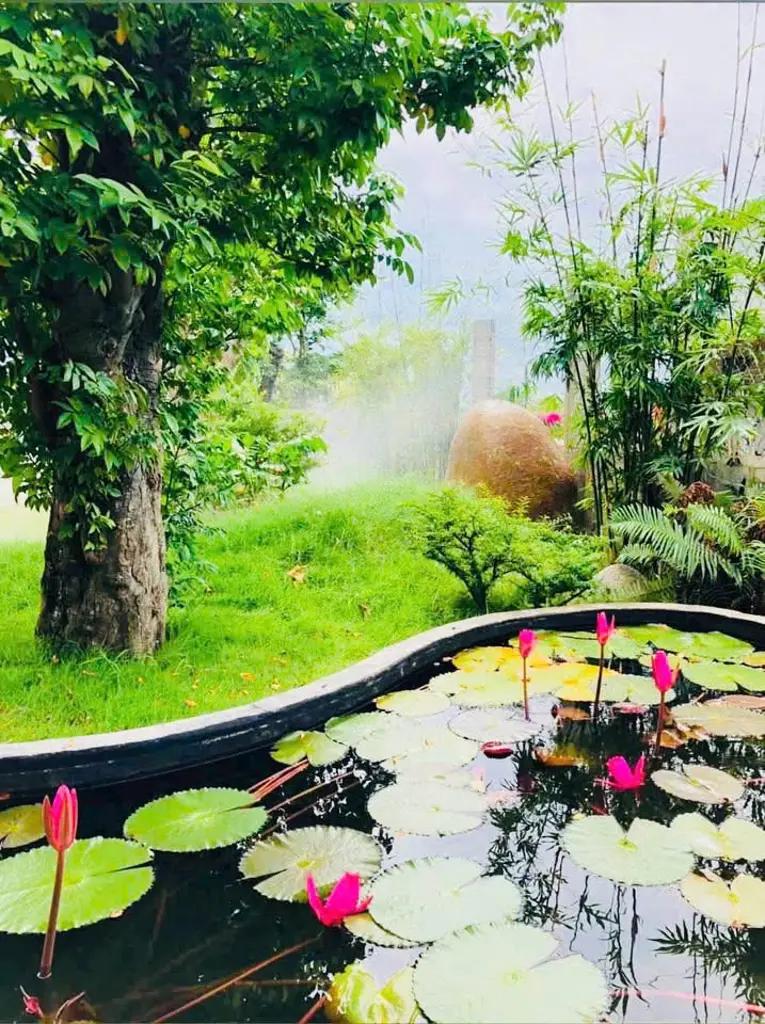 Main-BÁN NHÀ VƯỜN THÔN 5 – HÀM LIÊM, HÀM THUẬN BẮC, BÌNH THUẬN-5