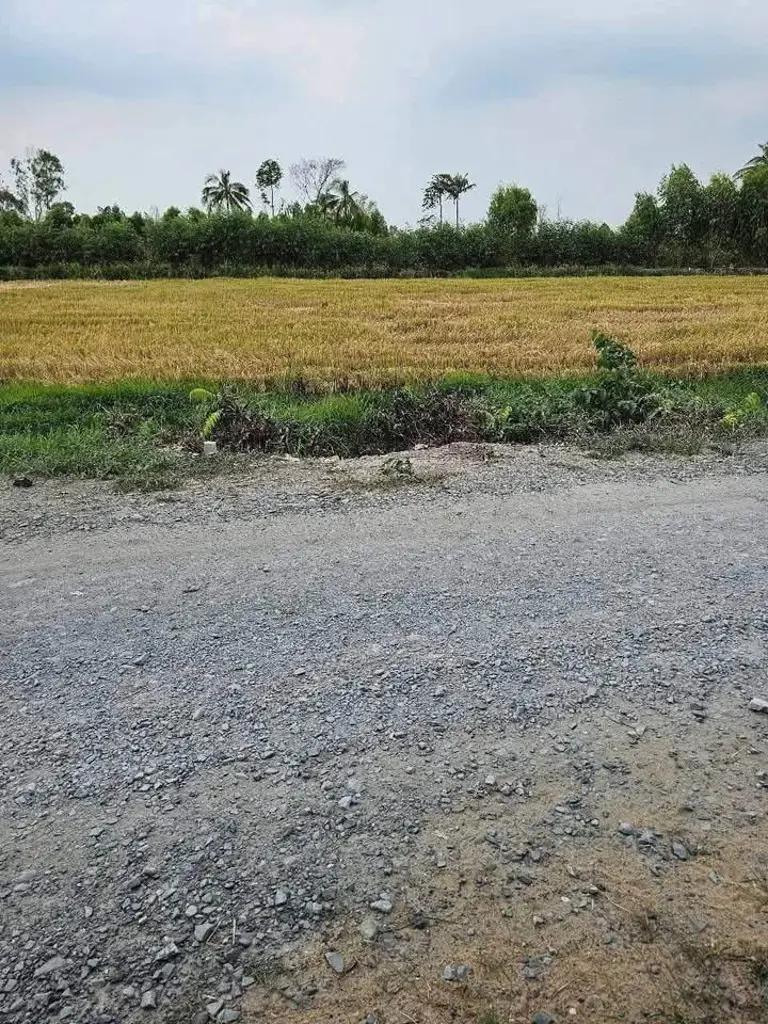 Main-Chủ ngộp thở oxi bán lô đất xã Hữu Thạnh, Đức Hòa, Long An-2