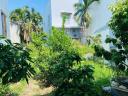 Thumb-Đất hẻm 58 Lương Định Của - Ngọc Hiệp, Nha Trang-4
