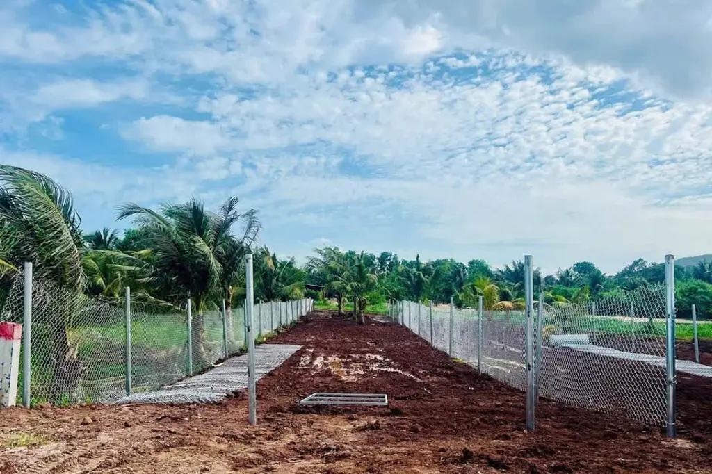 Main-CHÍNH CHỦ GỬI BÁN ĐẤT MẶT TIỀN TỈNH LỘ 44B - CÁCH BIỂN PHƯỚC HẢI CHỈ 5KM-2