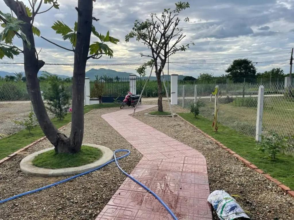 Main-Căn nhà vườn Xuân Đồng thiết kế theo mô hình farm mini mặt đường bê tông ngay khu dân cư-2