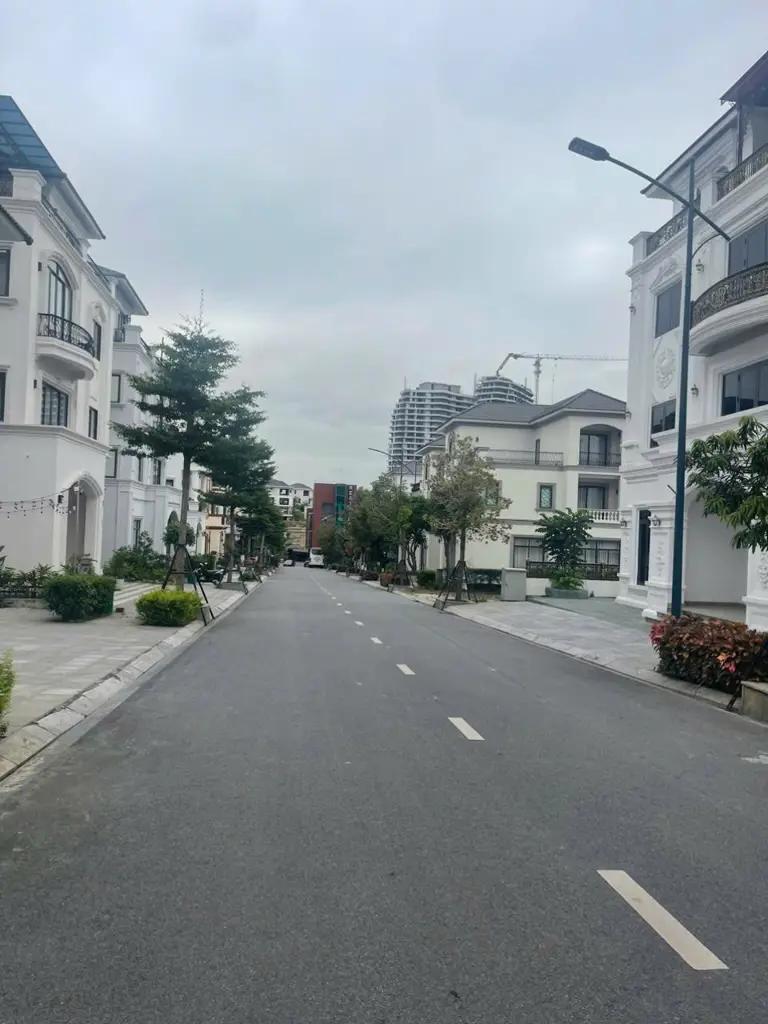 Main-Cần bán biệt thự đồi Bervelly Hill - view biển-1