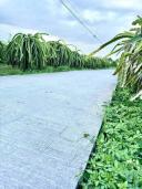 Thumb-1100m2 CLN xã Hàm Liêm Gần ngã tư Chợ Tân Nông-2