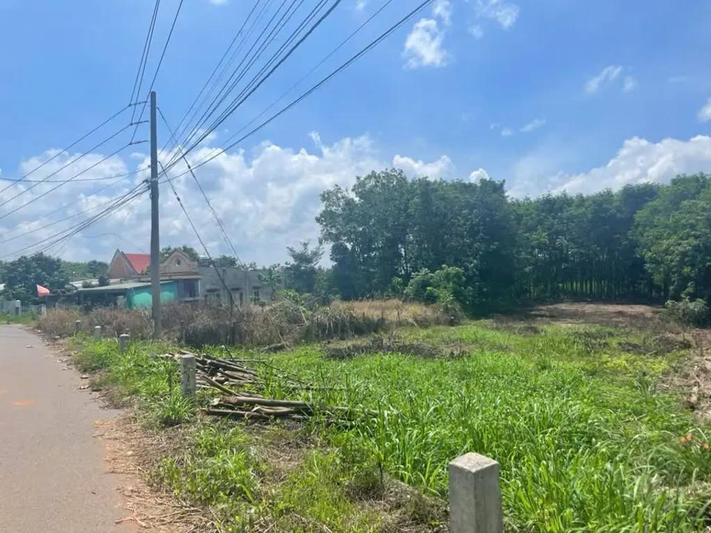 Main-BÁN LÔ ĐẤT ĐẸP – TRUNG TÂM HÀNH CHÍNH XÃ XUÂN THÀNH, ĐỒNG NAI-3