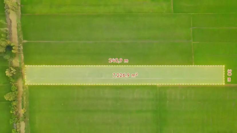 Cần bán đất nông nghiệp 7226,9 m2 xã Trường Long Tây, Huyện Châu Thành A, Hậu Giang