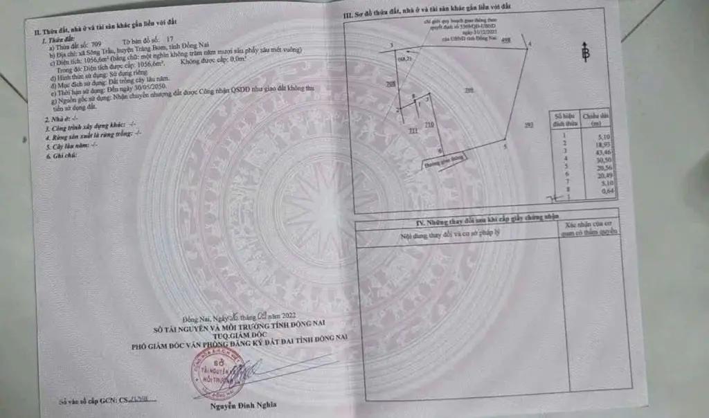 Main-Nhà Vườn Tại Sông Trầu - Trảng Bom - Đồng Nai-3