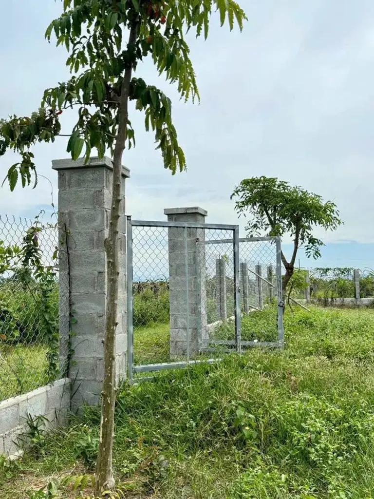 Cần sang nhượng lại mãnh đất vườn Ninh Thuận xã Hàm Chính