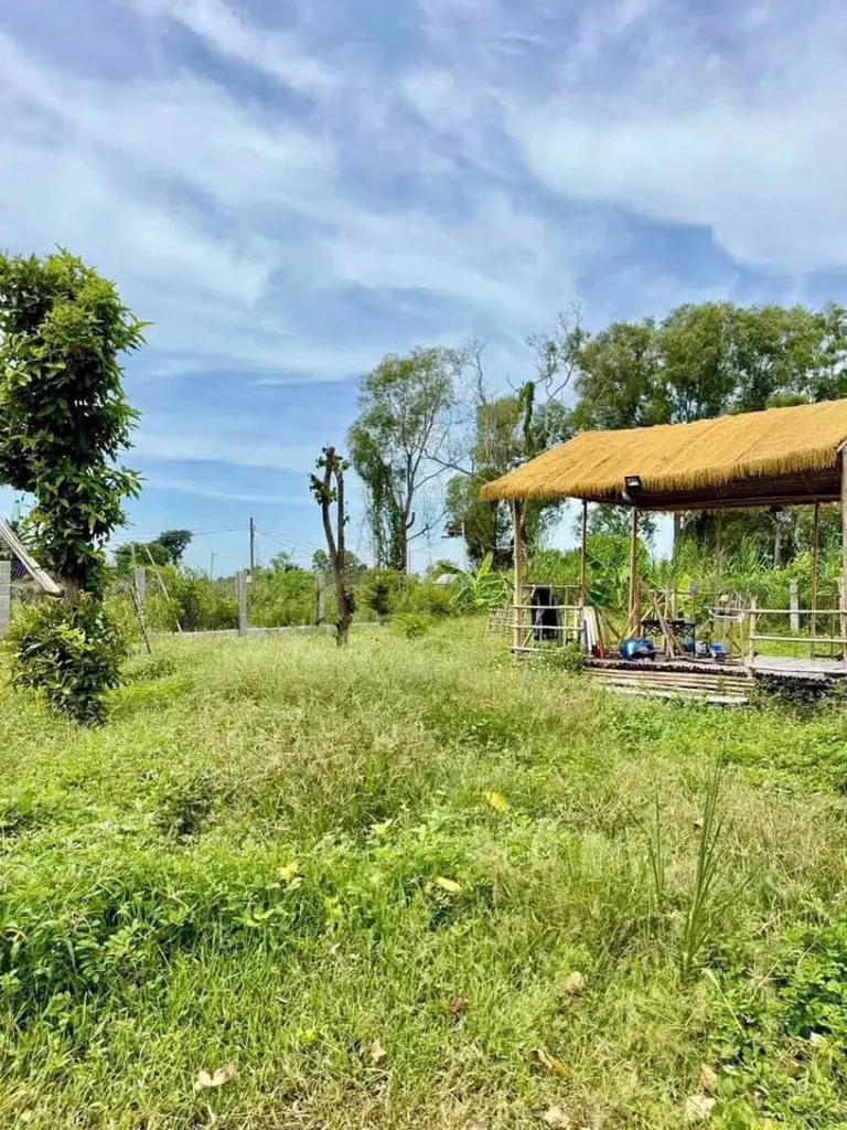 Main-Cần sang nhượng lại mãnh đất vườn Ninh Thuận xã Hàm Chính-1