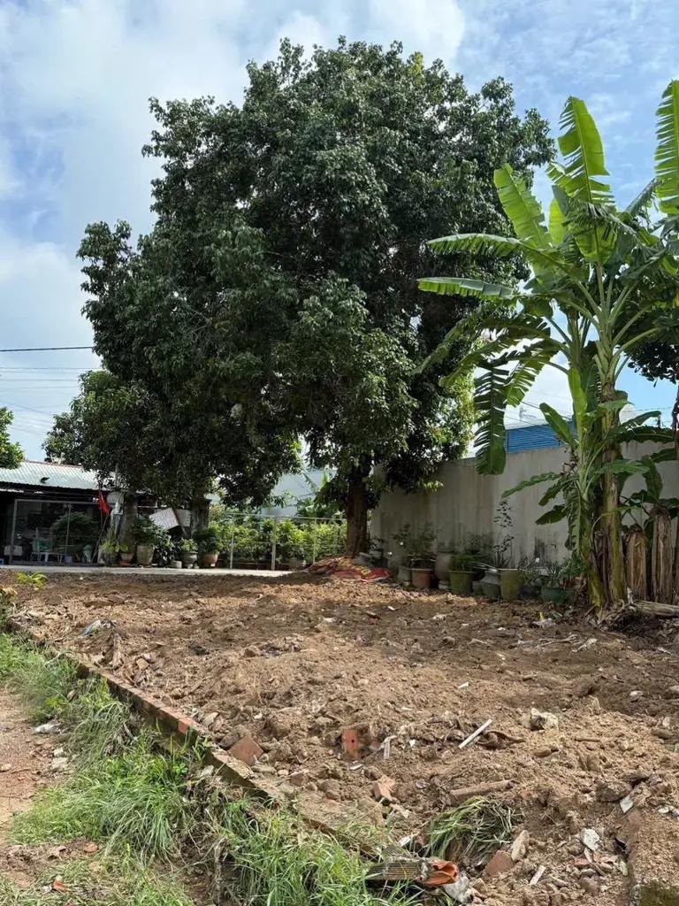 Main-Đất Phú Mỹ nhánh Dx43-2